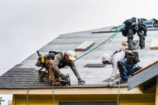Professional Gutter Installation technician working in Denton, NC